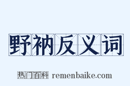 野衲反义词是什么意思的图片